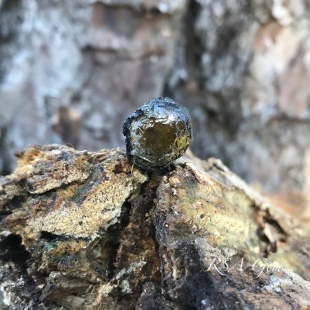 Tourmaline